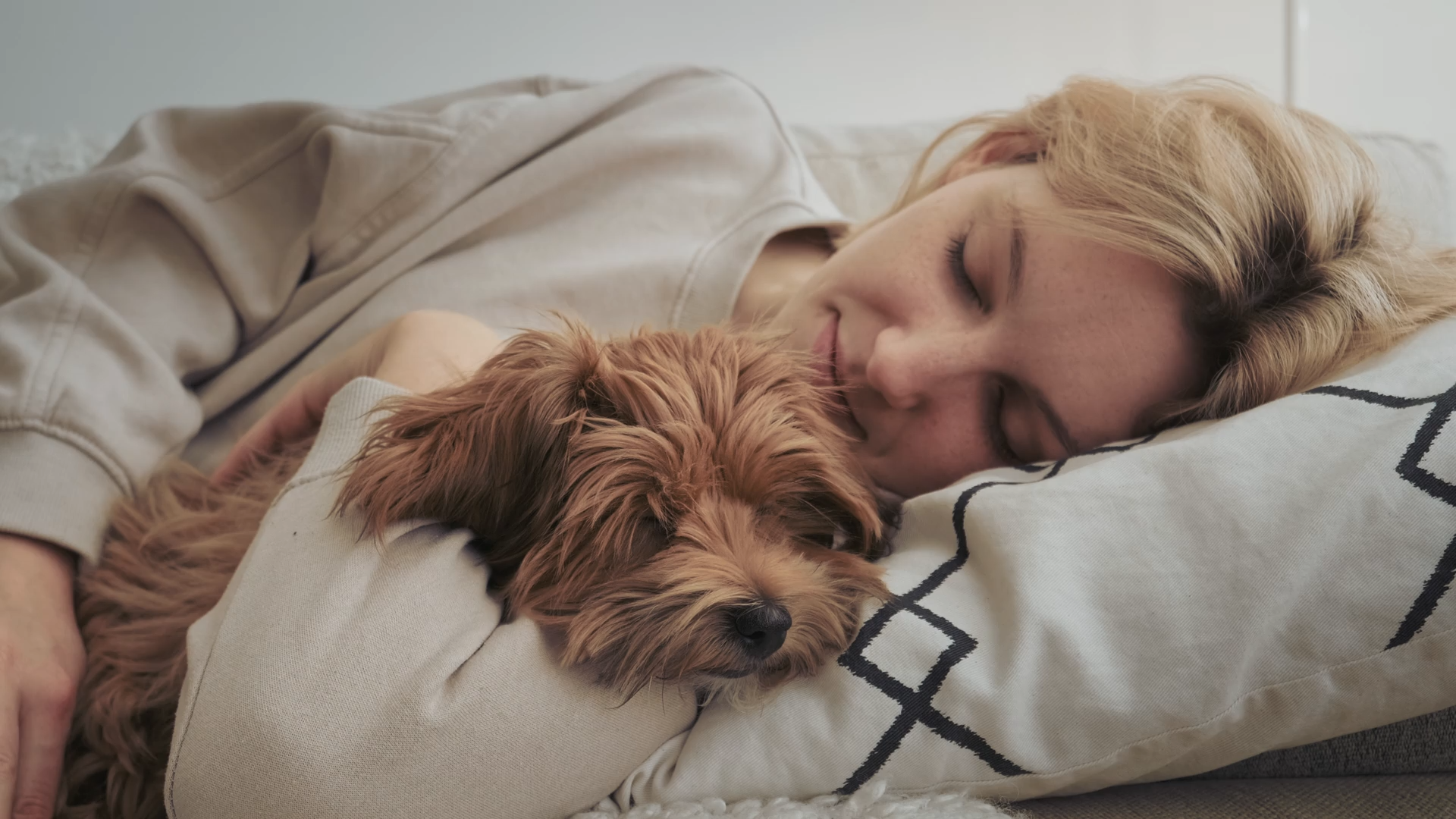 Curated Favorites for Cozy Pet Living
