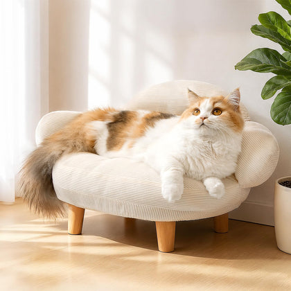 Velvet Cat Sofa Bed