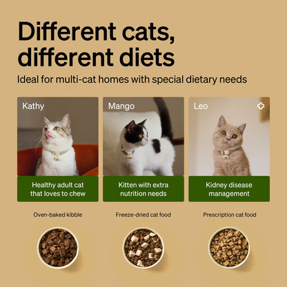 RFID Automatic Cat Feeder with Collar Tag Access Control