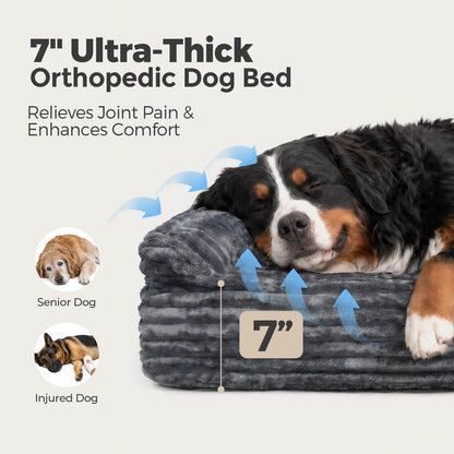 Orthopedic Memory Foam Dog Bed with Pillow – Extra Large 52"x36"x7" Grey