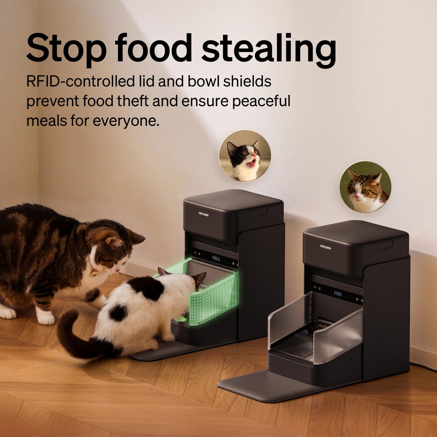 RFID Automatic Cat Feeder with Collar Tag Access Control