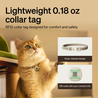 RFID Automatic Cat Feeder with Collar Tag Access Control
