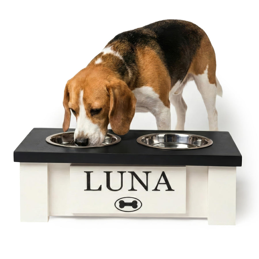 Personalized Elevated Dog Bowl Stand with Stainless Steel Bowls & Storage