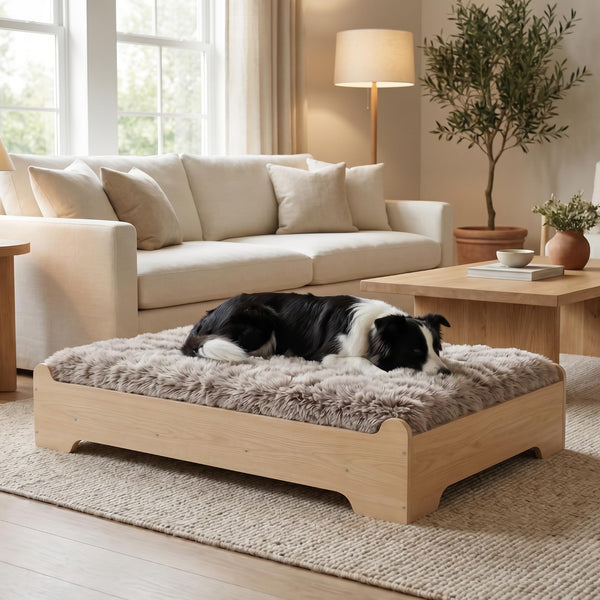 Elevated Wooden Dog Bed with Washable Cushion – Modern Indoor Pet Furniture