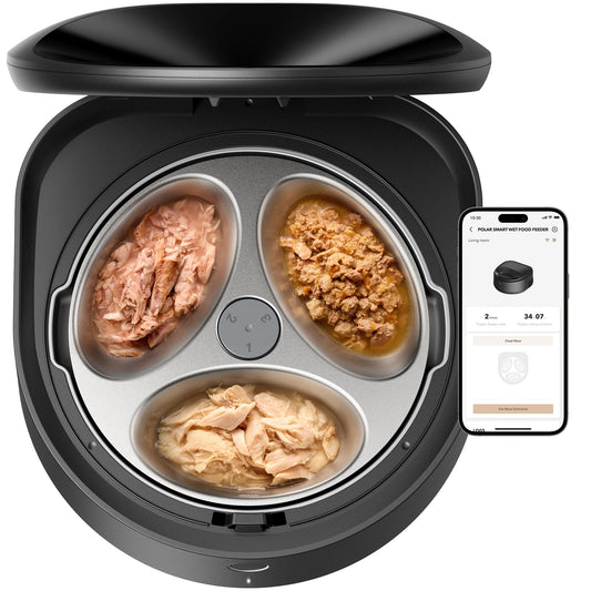 Automatic Wet Food Cat Feeder with Refrigerated Stainless Steel Bowl