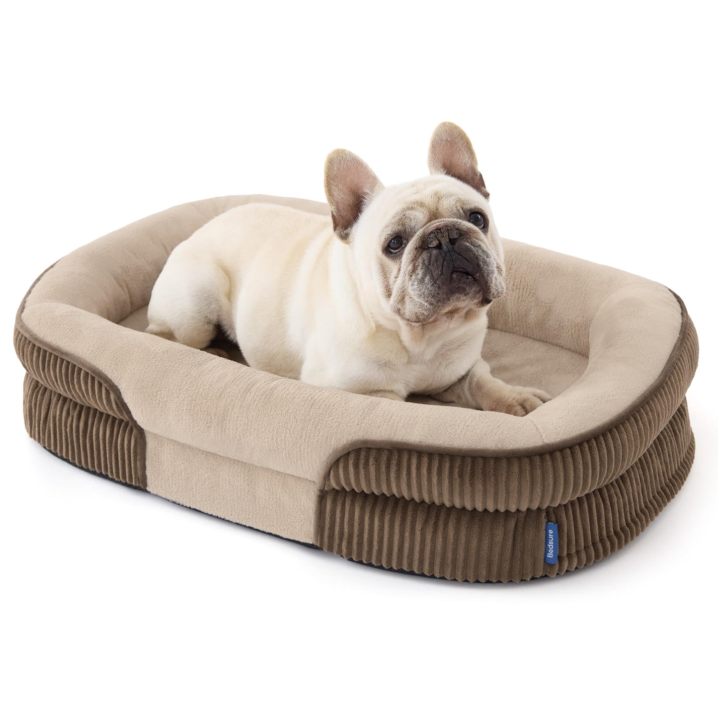 Orthopedic Oval Bolster Dog Bed with Washable Waterproof Cover