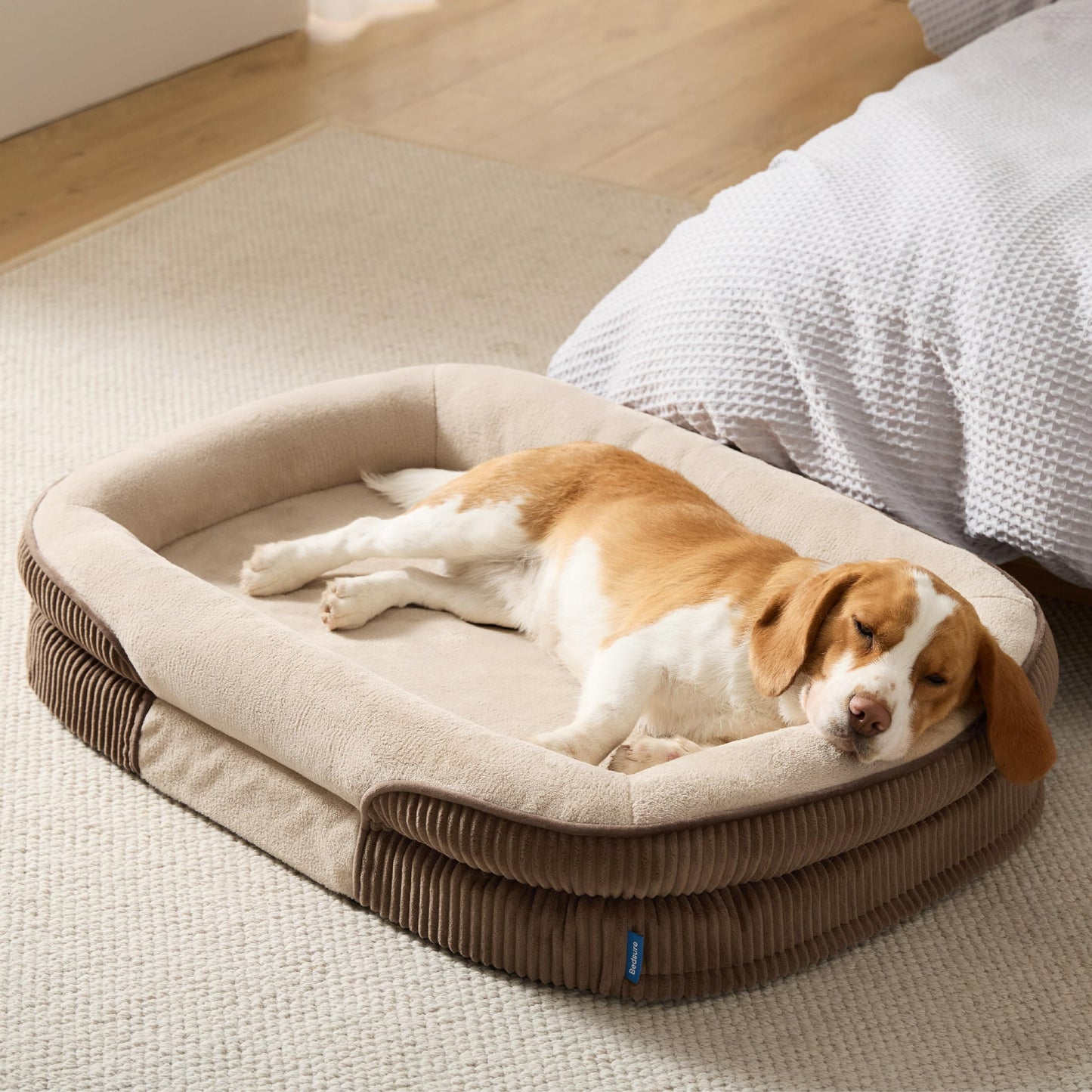 Orthopedic Oval Bolster Dog Bed with Washable Waterproof Cover